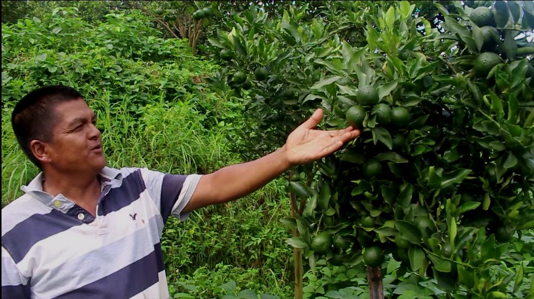 आफ्नै पौरख, आफ्नै गौरब : सुन्तलाले गाउँ अडिएका ठकुरीको भिडियोकथा