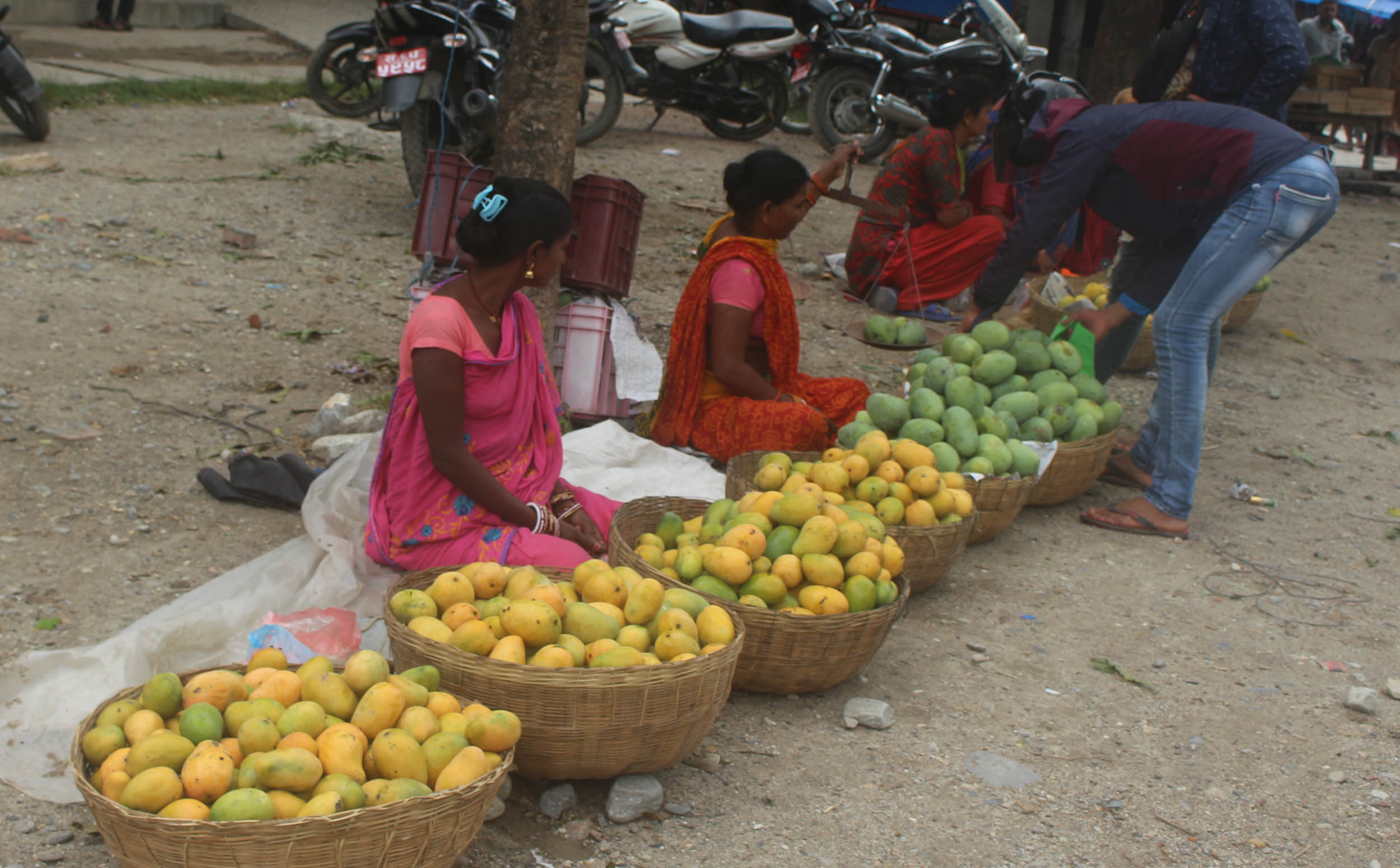 कम उत्पादन हुदाँ आँपको मूल्य आसियो