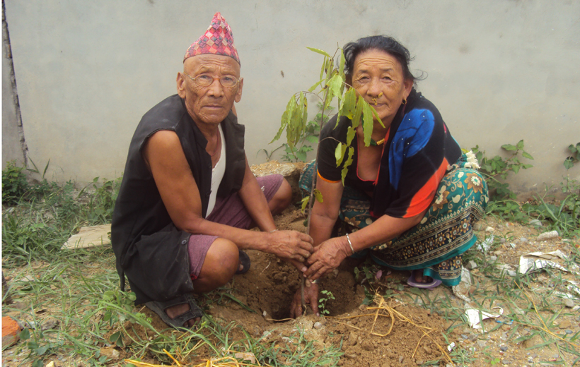 लैगिक समानताका लागि बृक्षरोपण : उदयपुरको त्रियुगा नगरपालिका, देउरीको एक जोडी । तस्बिर : पूर्णपुष्टि