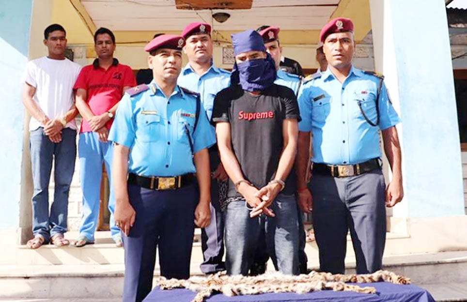 सशस्त्र प्रहरी जवान नै तस्कर