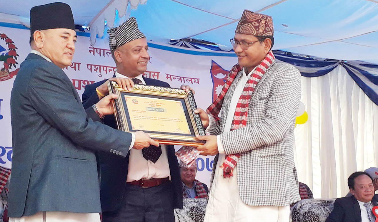 दिवसमा बेलका नगरपालका सम्मानित