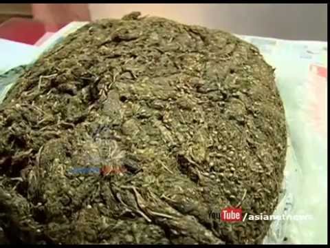 लागु औषाध सहित छुट्टा छुट्टै ठाउँबाट २ जना पक्राउ