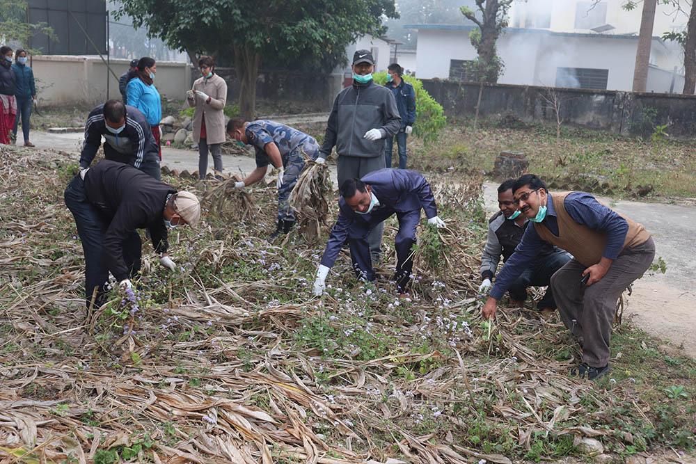 सरसफाई तथा दिप प्रज्वलन सँगै प्रजातान्त्र दिवसको समापन