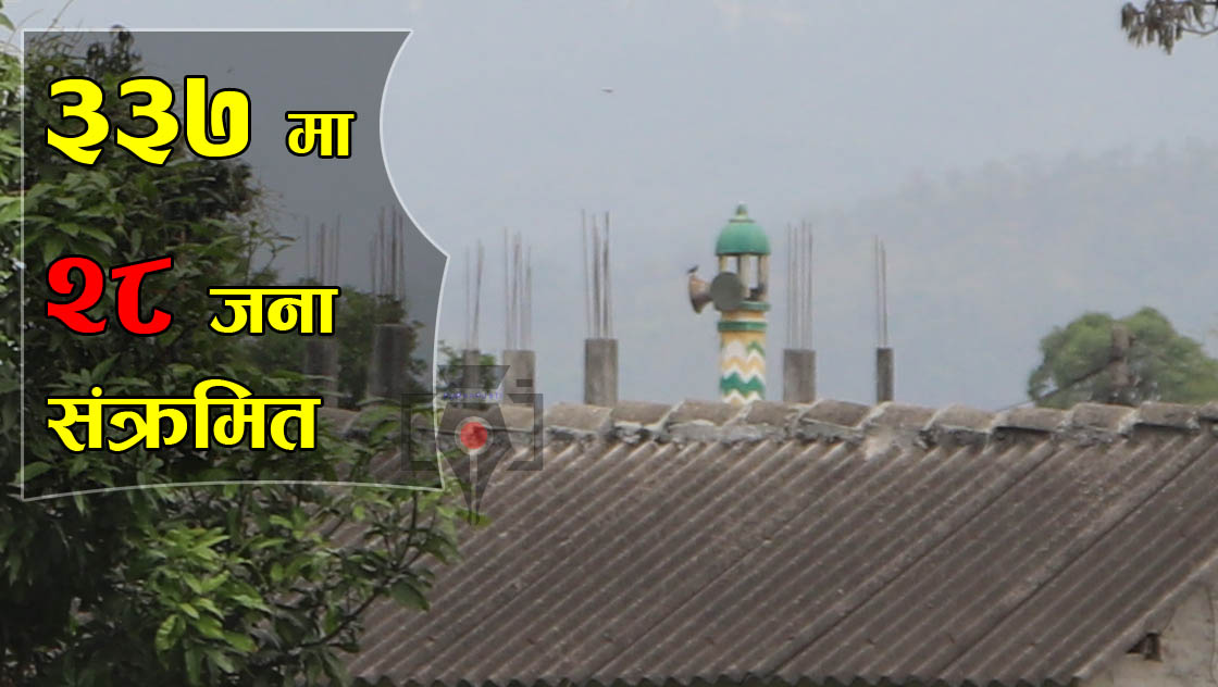 अब, अर्को परिक्षण नभएसम्म भुल्केको कोरोना संक्रमित संख्या २८ मा स्थीर बन्ने अबस्था https://purnapusti.com/content/13069.html