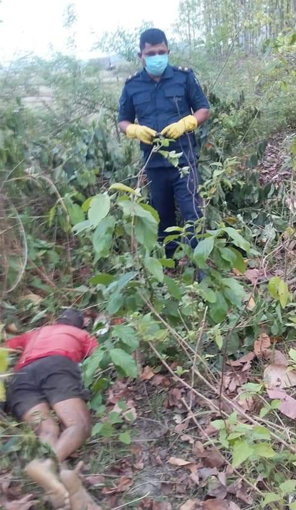 बेलकामा रुखबाट लडेर एक जनाको मृत्यु