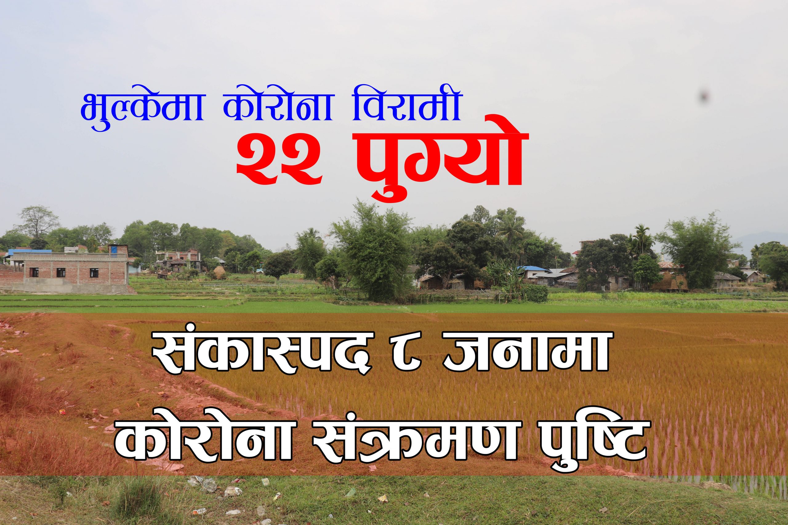 भुल्केका संकास्पद ८ जनामा कोरोना पुष्टि, भुल्केमा मात्रै संक्रमितको संख्या २२ पुग्यो