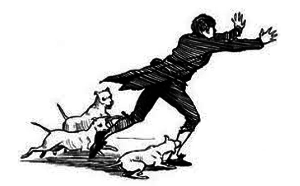 रामेछापमा बहुला कुकुरको अतंक