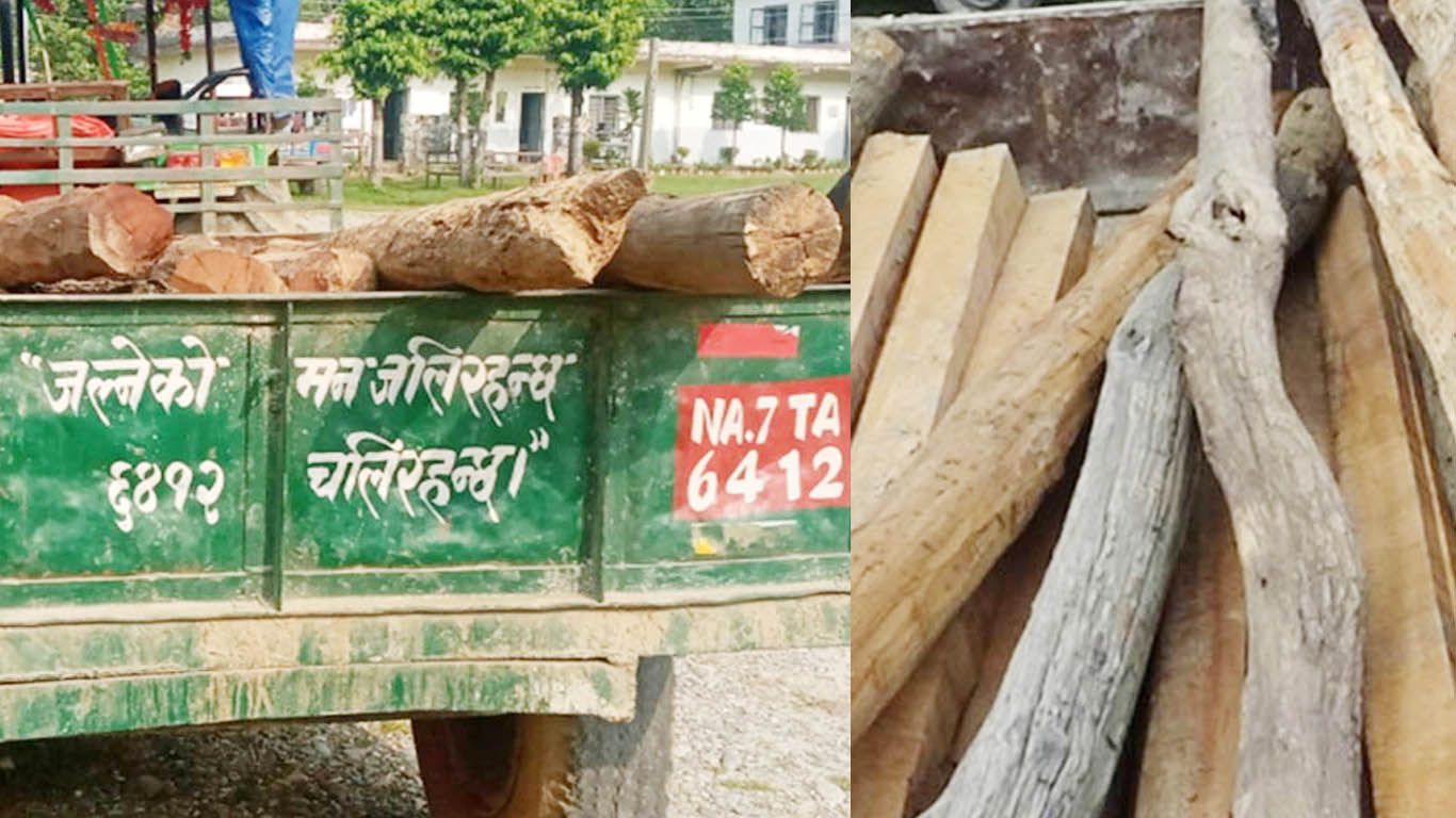 अवैध सखुवाको काठसहित ट्याक्टर पक्राउ