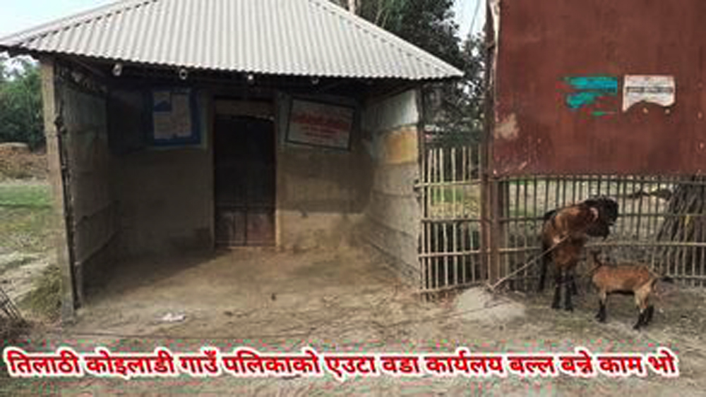 तीन बर्षदेखि फुसको झुप्रोमा संचालित वडा कार्यालय भवन शिलान्यास