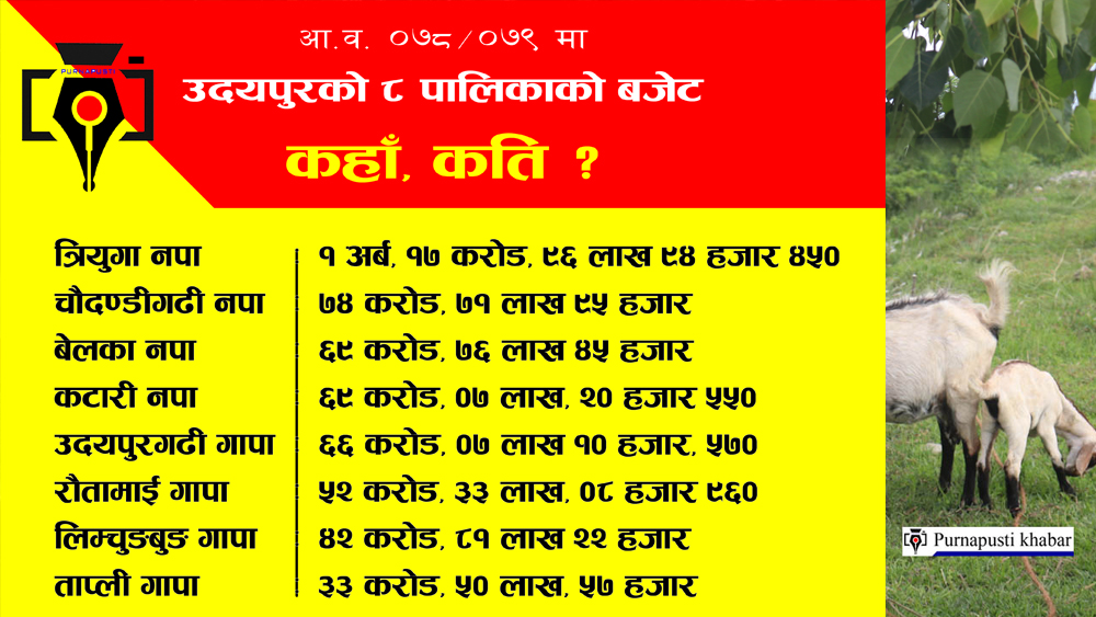 उदयपुरकाे ८ स्थानीय तहमा कुल ५ अर्ब, २६ करोड, २६ लाख, ५३ हजार ५३० बजेट