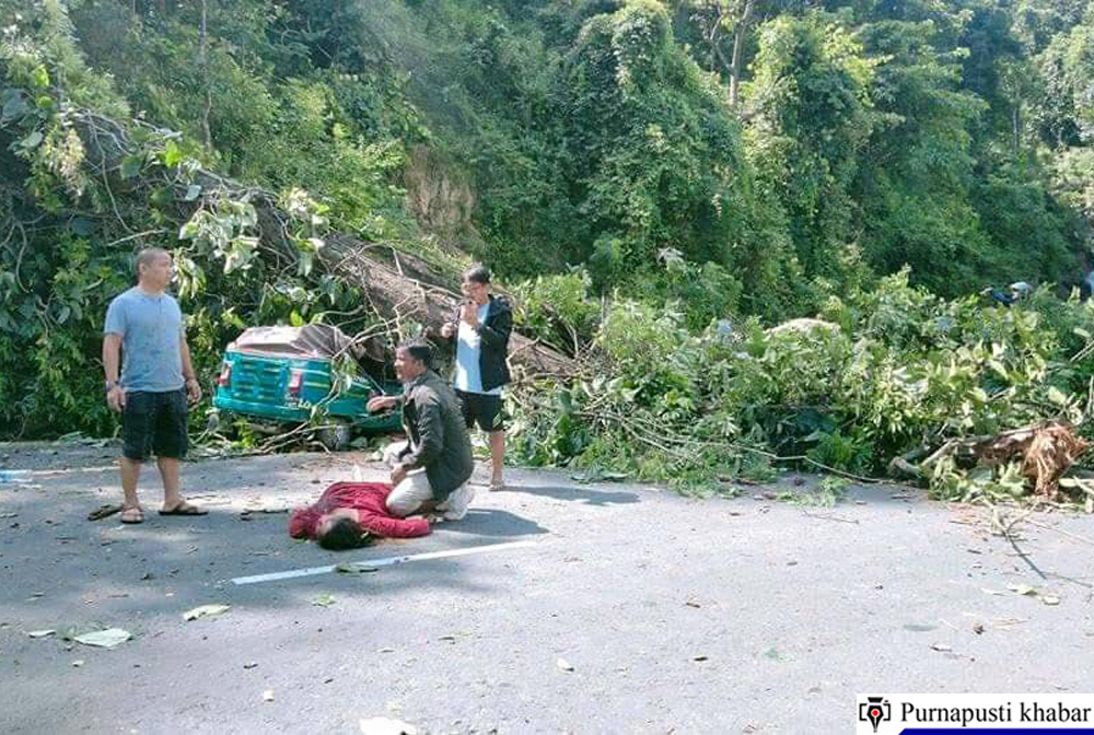 उदयपुरको नेपालटार जाने बाटो अधेरी झर्नामा रुख ढलेर किच्दा महिलाको ज्यान गयो, तीनजना घाइते
