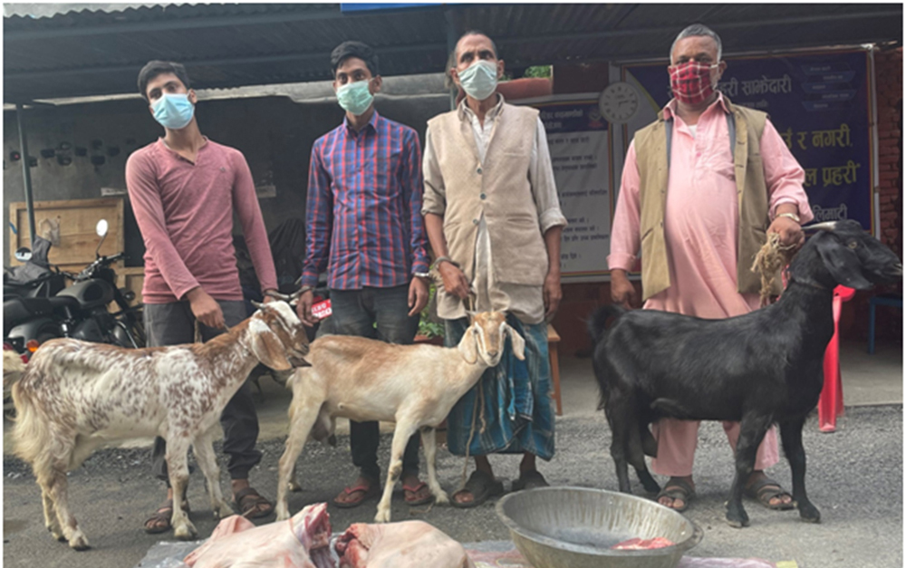 खसी भनी बाख्राको मासु बिक्रि गर्ने ४ जना पक्राउ