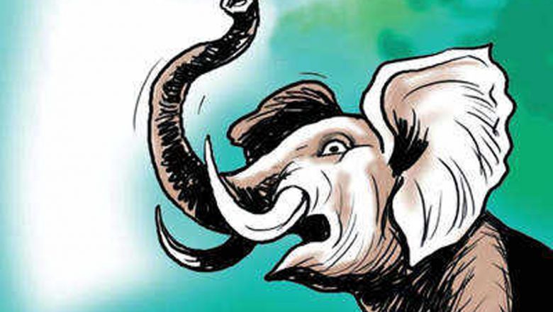 जंगली हात्तीले सुडले च्यापी बेपत्ता बनाएकी महिला मृत अबस्थामा फेला