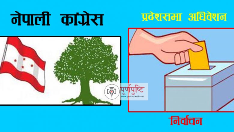 कांग्रेस प्रदेशसभा अधिवेशनको मतदान उदयपुरमा धमाधम
