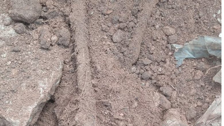 खोटाङमा किराती राजा यलम्बर हाङको शालिक राख्न चिहान भत्काउँदा स्थानीयले गरे बिरोध