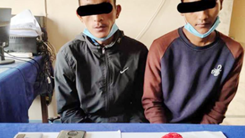 मोबाइल र गरगहना चोरी गरेको अभियोगमा दुई पक्राउ