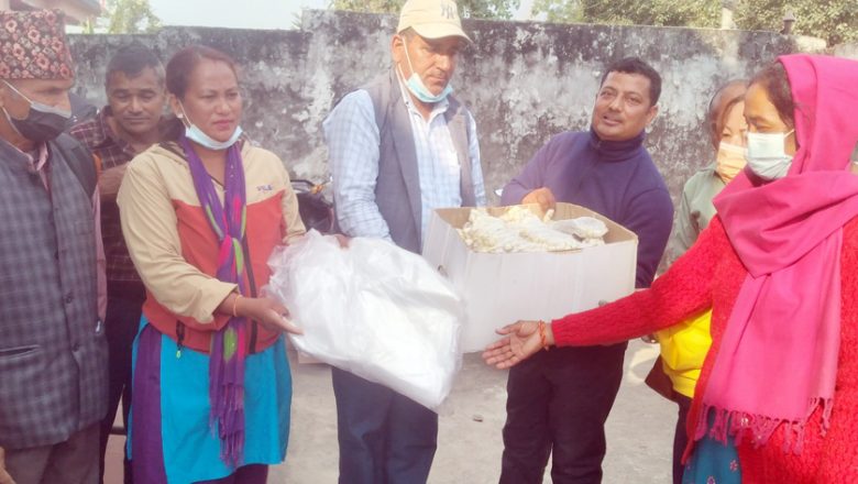 त्रियुगाको १६ वटै वडामा च्याउको विउ वितरण