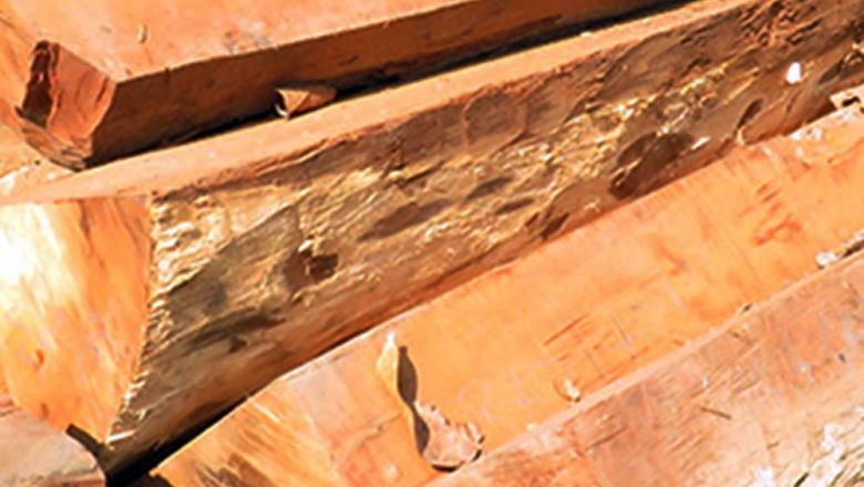 सखुवाको चिरान काठसहित दुई युवा पक्राउ