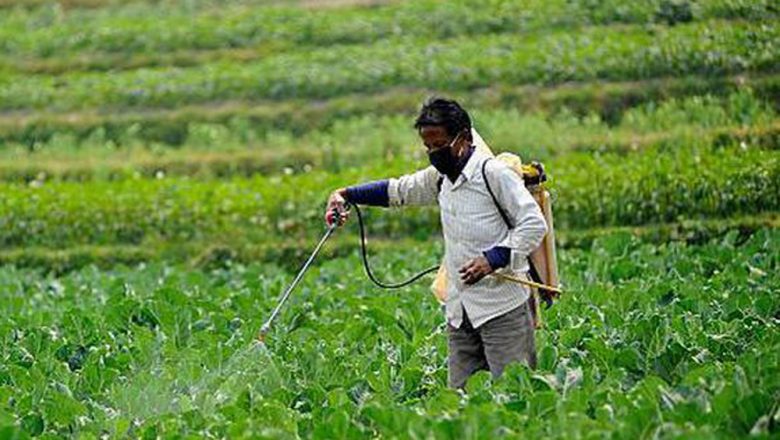 उदयपुरगढीको नेपालटारमा व्यवसायिक तरकारी खेती तालिम सम्पन्न