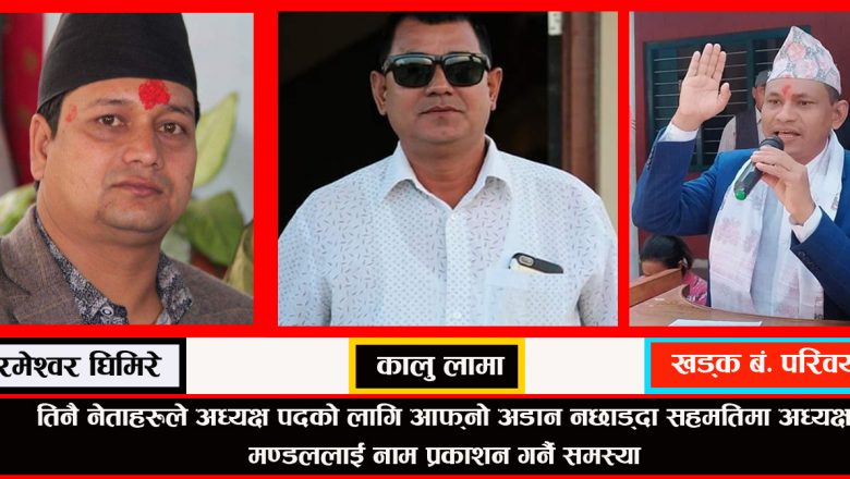 एमाले उदयपुर अध्यक्षमा तिन नेताले छाडेनन् दावी, कस्ले मार्ला बाजी ?