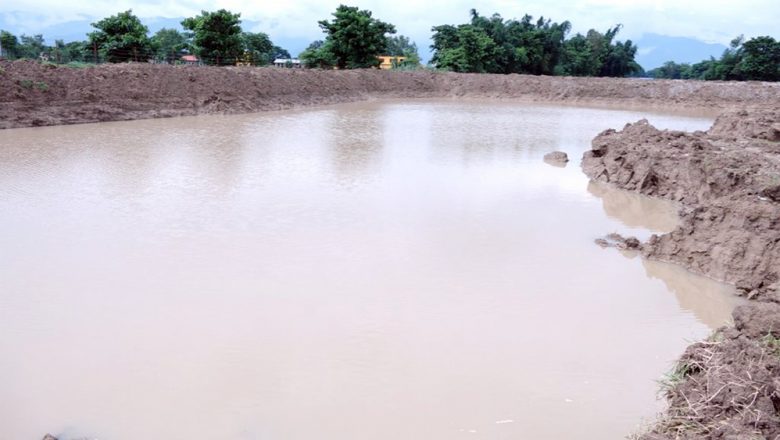 उदयपुरको रानीपोखरीमा डुबी ५६ वर्षीया महिलाको मृत्यु