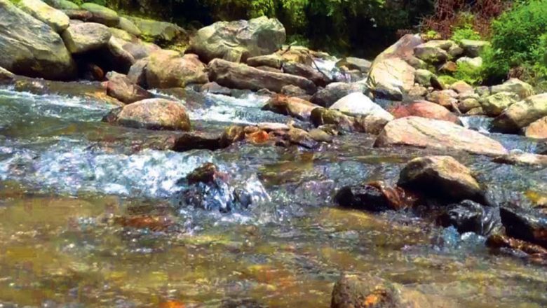 खोलामा माछा मार्ने क्रममा करेन्ट लागेर एकको मृत्यु