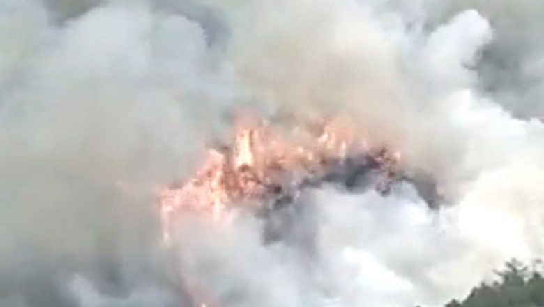 चीनमा १३३ जना यात्रु बोकेको विमान दुर्घटनाः मृतकको संख्या अज्ञात
