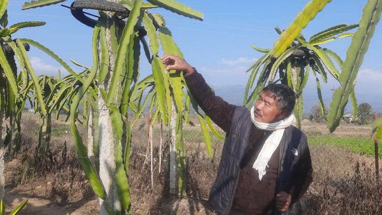 ड्रागनखेतीमा बितेका पूर्वमन्त्री विष्टका दिन