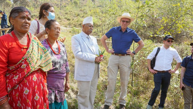 अनुकूलन कार्यक्रमले हराभरा हुँदै काभ्रेका पाखा