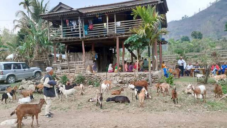 चौदण्डीगढीका १८ गरिब परिवारलाई बाख्रा वितरण