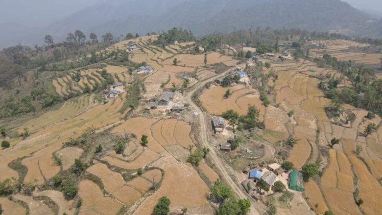 डडेल्धुराको मलासक्षेत्र बाख्रापालनको ‘हब’