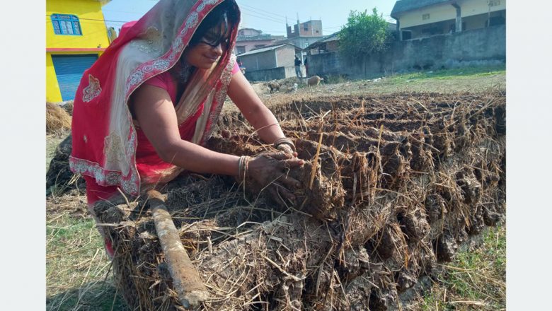 इन्धनका लागि ‘गुइँठा’‘ जोहो