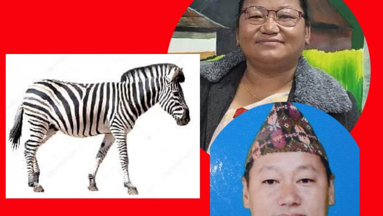 लिम्चुङबुङका स्वतन्त्र उम्मेदवारको चुनाब चिह्न जेब्रा