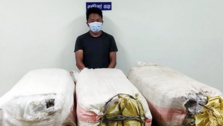 लागुऔषध मुद्दाका फरार प्रतिवादी पक्राउ