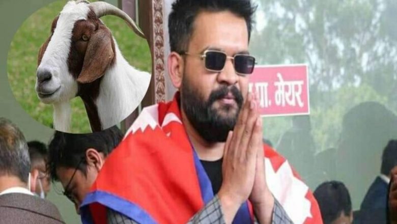 बालेनको हार जीतमा खसी बाजी राख्ने २ खोटाङे युवा प्रहरीको नियन्त्रणमा