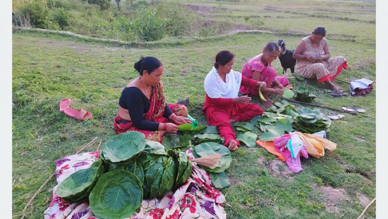 दुना, टपरीबाट आम्दानी गर्दै डवरीका महिला