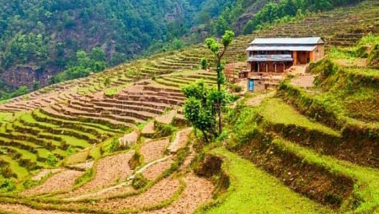 ताप्लेजुङमा उर्वर जमिन बाँझिदै