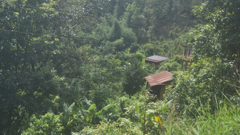 पहिराको त्रासले रित्तियो गाउँ