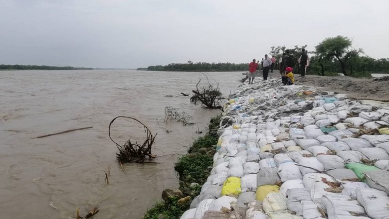 बेलकाद्धारा सप्तकोसीले कटान गरेको स्थानमा तटबन्धन सुरु गर्यो