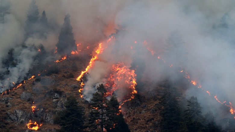 जंगलबाट तेह्रथुमको तामाङ बस्ति पसेको आगलागीले १४ घर जलेर नष्ट