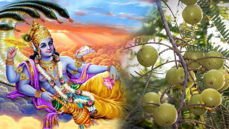 आज आमलकी एकादशी