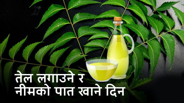 आज तेल लगाउने र नीमको पात खाने दिन
