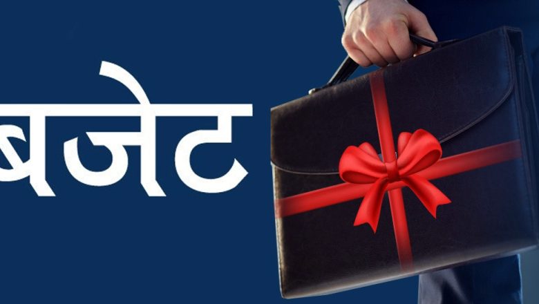बहुमतले बजेट पारित, १४७ सांसदको साथ