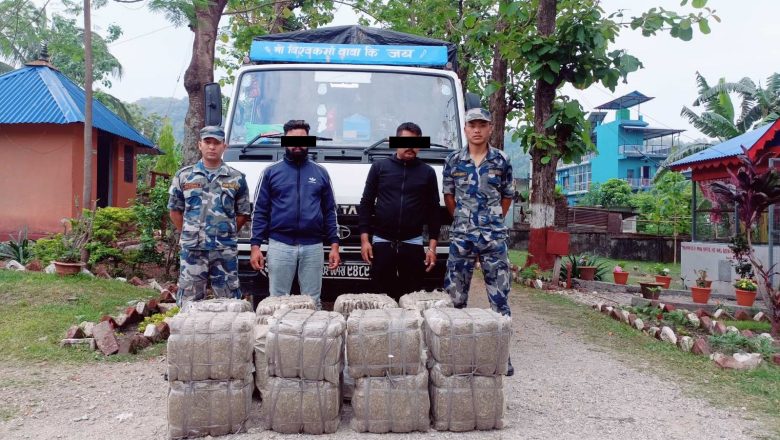 २२७ किलो गाजाँ सहित ट्रकचालक र सहचालक पक्राउ