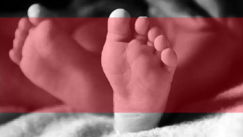 दुइतल्ला बार्दलीबाट बालिकाको मृत्यु