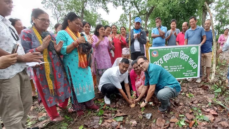राष्ट्रिय वृक्षारोपण दिवसको अवसरमा चौदण्डीगढीमा वृक्षारोपण