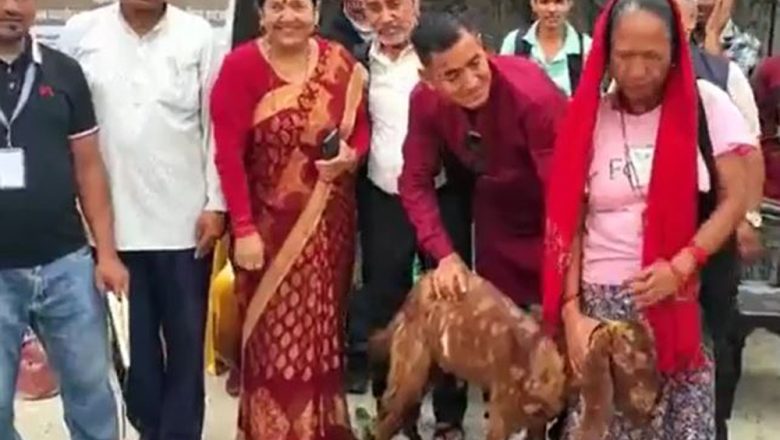 चौदण्डीगढी नगरपालिकाद्धारा नश्ल सुधार गर्न ३५ कृषक समुहलाई बिउ बोका वितरण