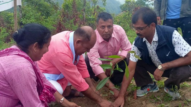 त्रिनपा १५ को बाझो जमिनमा वृक्षारोपन