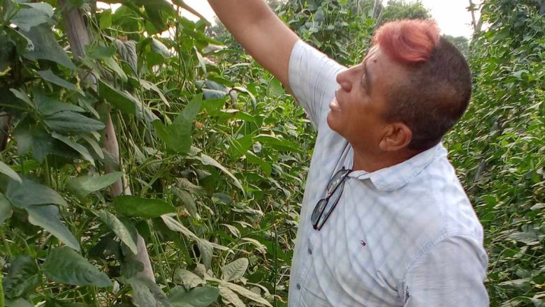 बिदेश जाने सोँच बदलेर कृषिमा रमाउँदै भुपु असही निरौला