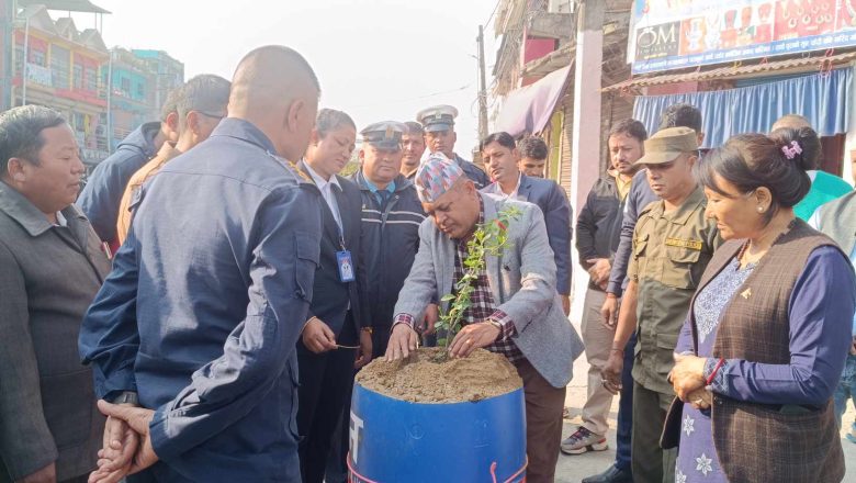 गाईघाटमा फुल रोपेर पार्किङ व्यवस्थापन सुरु